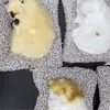 Sleeping Cat Plush Toy with Sound 🐱💤